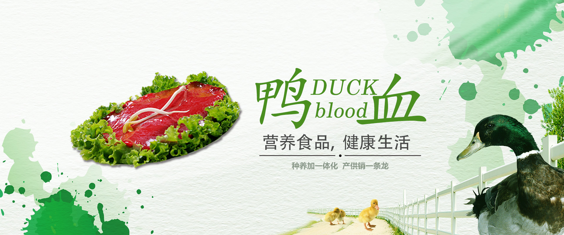 做實(shí)力派 健康鴨血生產(chǎn)工廠